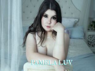 PAMELA_LUV