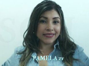 PAMELA_zv