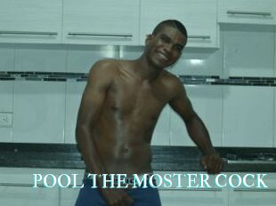 POOL_THE_MOSTER_COCK