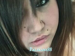 Palikane88