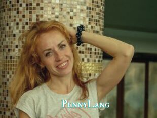 PennyLang