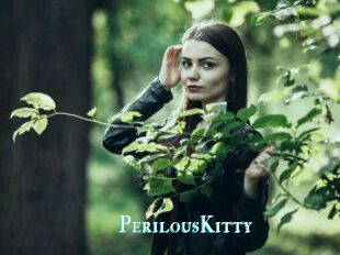 Perilous_Kitty