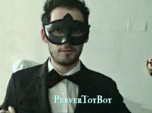PerverToyBoy