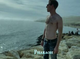 Pharaoh