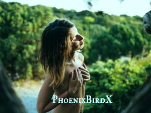 PhoenixBirdX