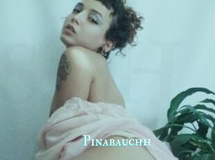 Pinabauchh