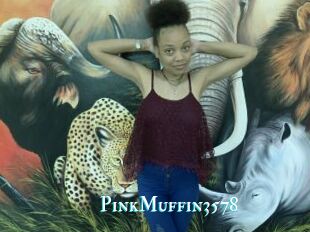 PinkMuffin3578
