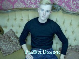 Playful_Dominic
