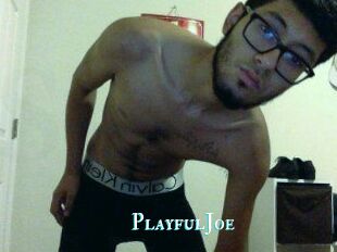 PlayfulJoe
