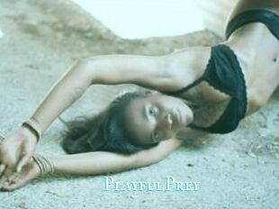 PlayfulPrey