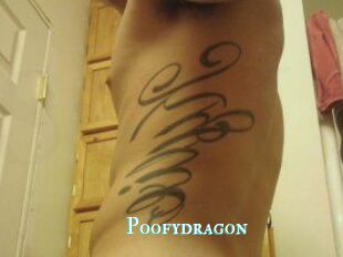 Poofydragon