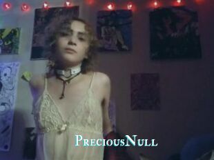 PreciousNull