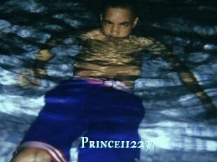 Prince112233