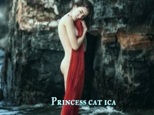 Princess_cat_ica