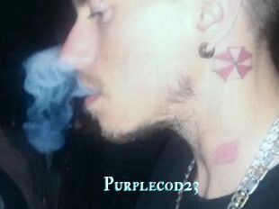 Purplecod23