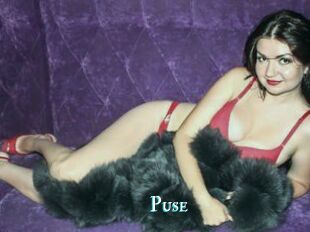 Puse