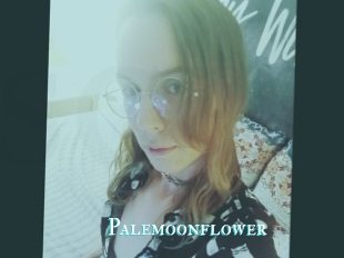 Palemoonflower