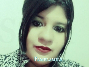 Pamelasuite