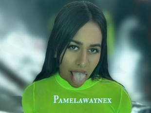 Pamelawaynex