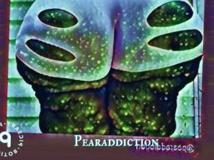 Pearaddiction