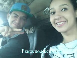 Penguinandcricket