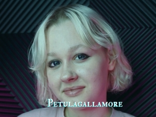 Petulagallamore