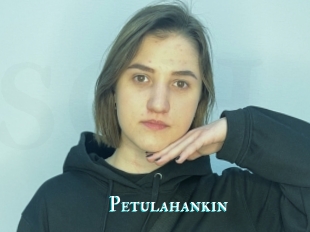 Petulahankin