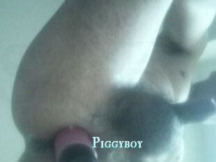 Piggyboy