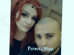Pitbull8699