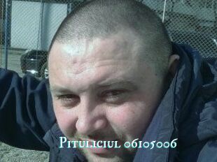 Pituliciul-06105006