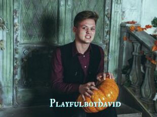 Playfulboydavid