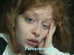 Primroseborom