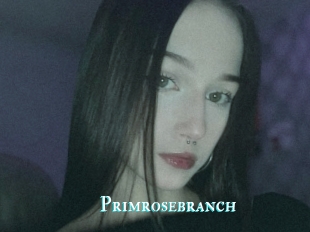 Primrosebranch