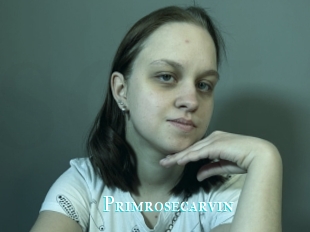 Primrosecarvin