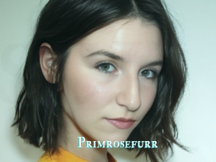 Primrosefurr