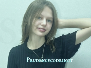 Prudencecodringt