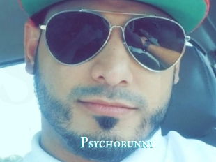 Psychobunny