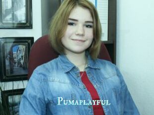 Pumaplayful
