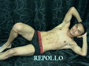 REPOLLO