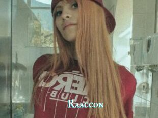 Raaccon