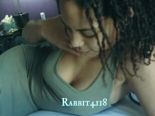 Rabbit4118