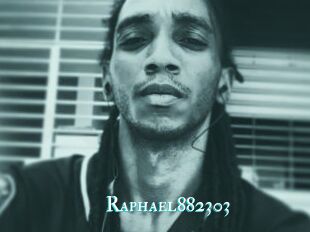 Raphael882303