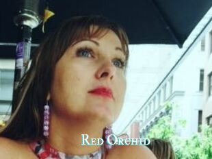Red_Orchid