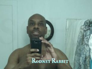 Rodney_Rabbit