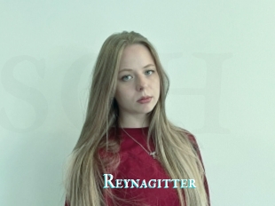 Reynagitter