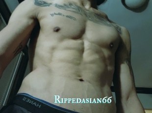 Rippedasian66