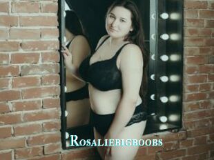 Rosaliebigboobs