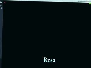 Rzs2
