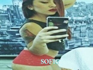 SOFI_G