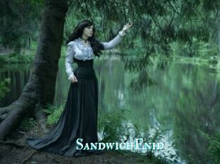 SandwichEnid